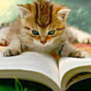 Meet your Posher, Lydia